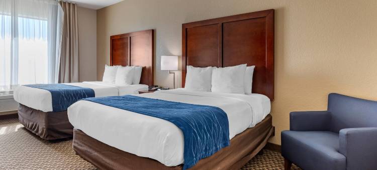 纳瓦索塔舒适套房酒店(Comfort Inn & Suites Navasota)图片