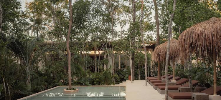 NABOA图兰酒店(NABOA Hotel Tulum)图片