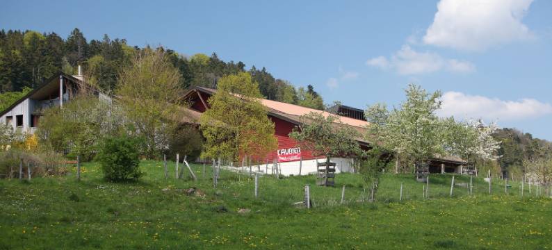 卢比尔生态酒店(EcoHotel L’Aubier)图片