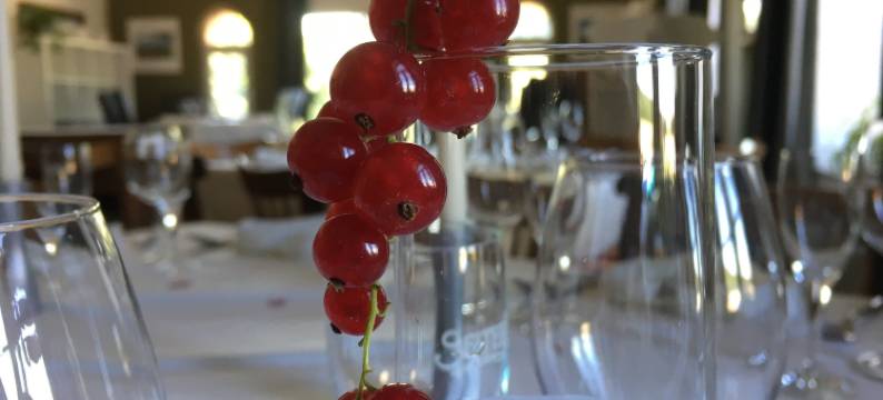 修道院磨坊酒店(Klostermühle Bursfelde)图片