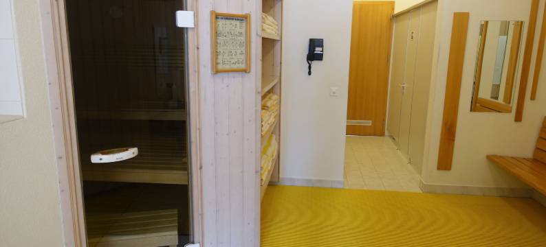 施维泽霍夫酒店(Hotel Schweizerhof)图片