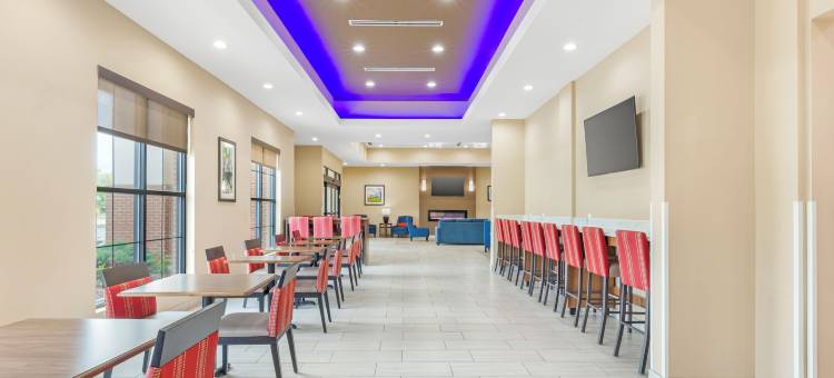 格林斯伯勒 - 高点舒适套房酒店(Comfort Suites Greensboro-High Point)图片