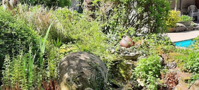 巴尔巴卡恩酒店(Hôtel de La Barbacane)图片