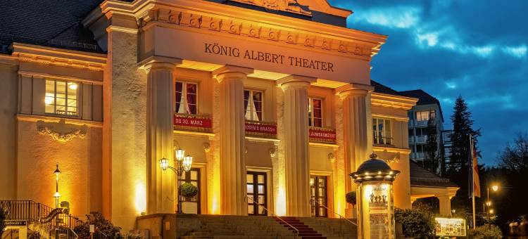 阿尔贝国王酒店(Hotel König Albert)图片