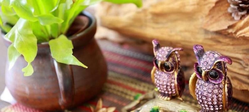 溪头有晴天民宿图片