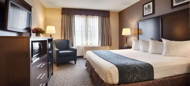 格雷戈里贝斯特韦斯特酒店(Best Western Gregory Hotel)图片