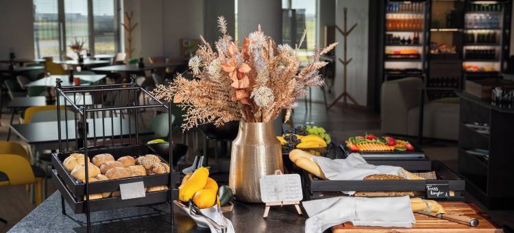 宜必思尚品-德布勒森机场酒店(Ibis Styles Debrecen Airport)图片