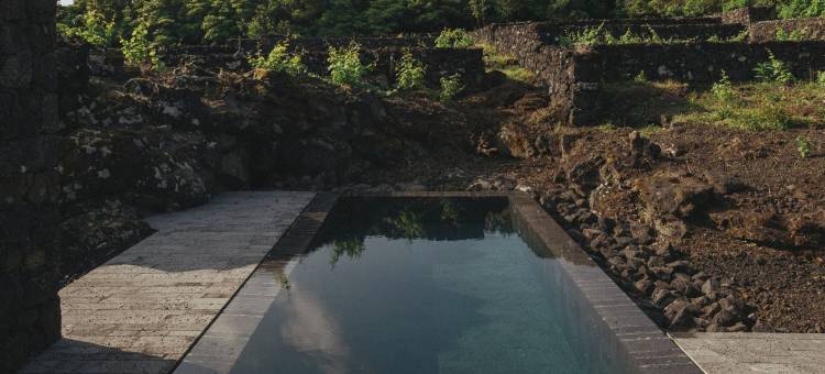 皮科葡萄园(Pico Vineyards - by Unlock Hotels)图片