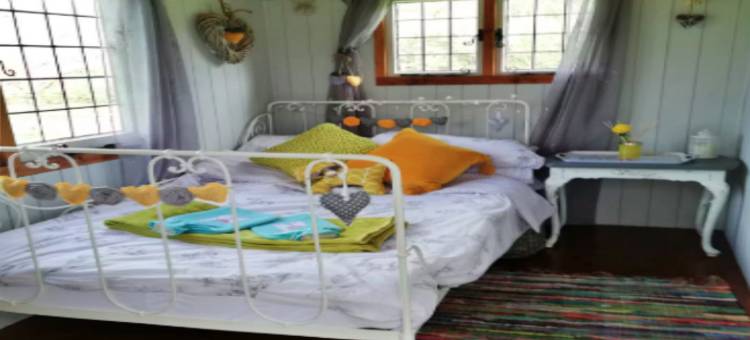 Shepherd's Hut in Romsey with Fire Pit图片