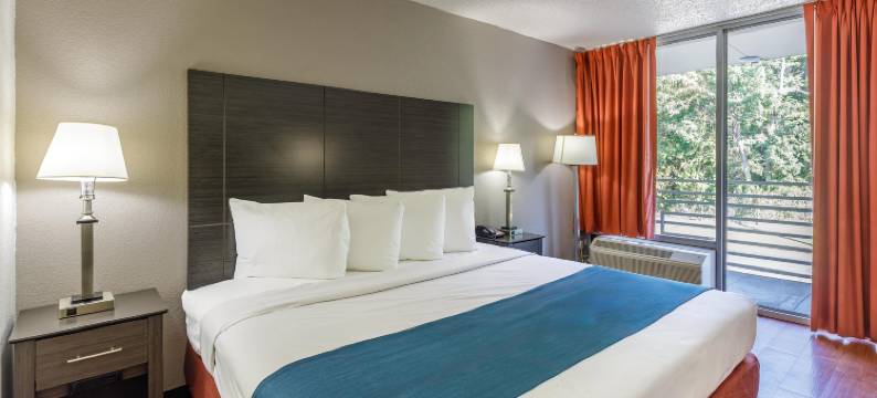 邓弗里斯/康迪科6号汽车旅馆(Motel 6 Dumfries, VA)图片