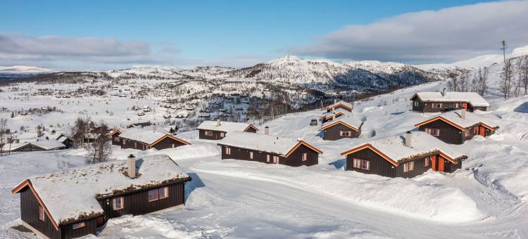朗兰度假中心酒店(Rauland Feriesenter)图片