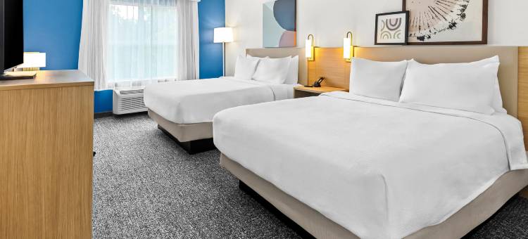 Spark by Hilton Sumter图片