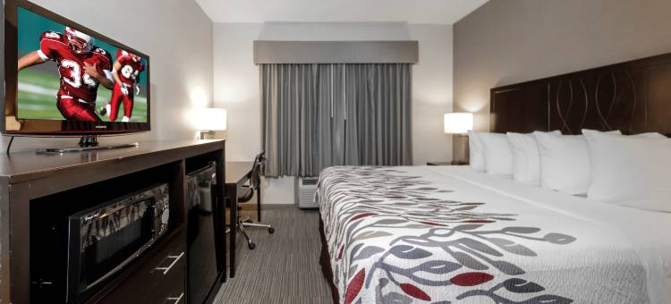 红屋顶酒店及套房纽堡 - 斯图尔特机场/西点(Red Roof Inn & Suites Newburgh - Stewart Airport/ West Point)图片