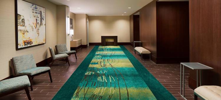 休斯顿市中心/会议中心万豪SpringHill Suites 酒店(SpringHill Suites Houston Downtown/Convention Center)图片