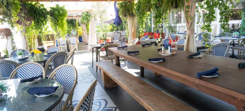 海滩卡塔利娜酒店与海滩俱乐部(The Catalina Hotel & Beach Club)图片