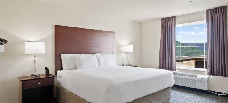 鹅卵石酒店及套房 - 埃弗拉伊姆(Cobblestone Hotel & Suites - Ephraim)图片