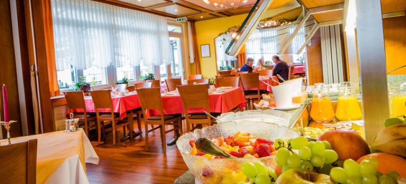 邦水法将温泉酒店(Hotel Heilquelle-Leukerbad-Therme)图片