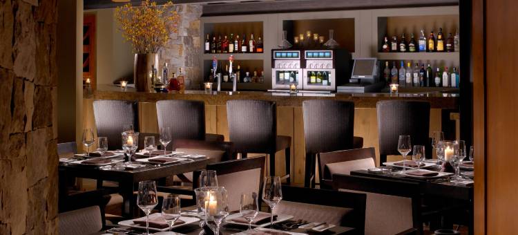 滑雪山岩石度假村(One Ski Hill, A RockResort)图片