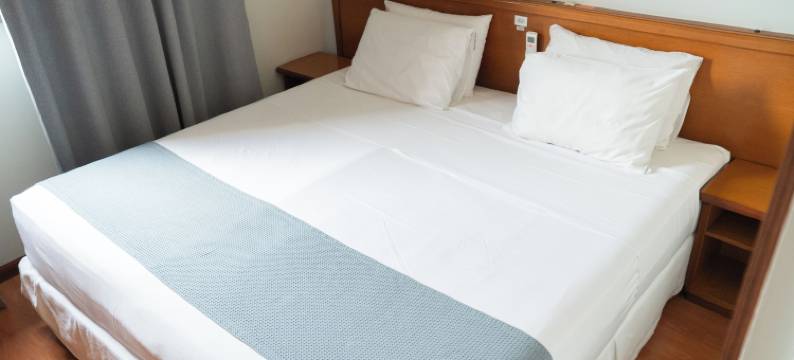 皮拉西卡巴新生活酒店 - 亚特兰大(New Life Piracicaba by Atlantica)图片