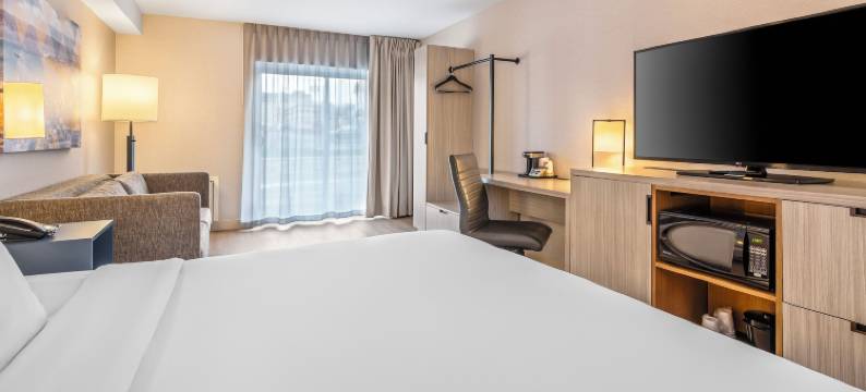 机场东部舒适酒店(Comfort Inn Airport East)图片