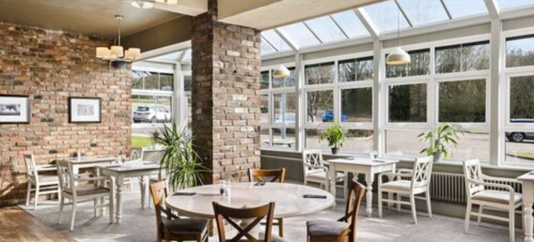 科尔切斯特优质酒店(Dragonfly Hotel Colchester)图片