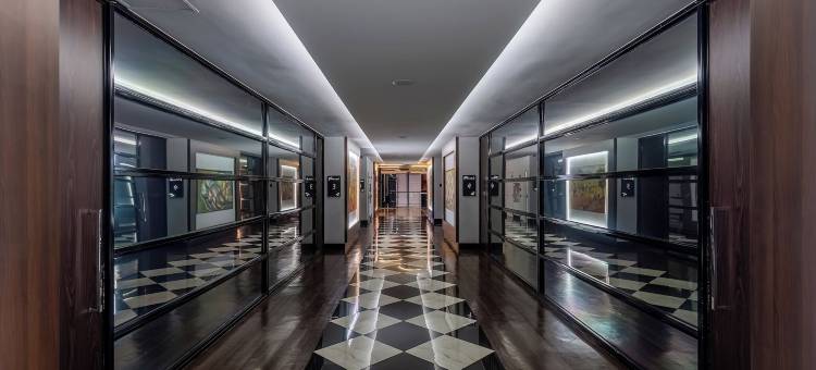 拉凡宫酒店&会议中心(Rafain Palace Hotel & Convention Center)图片