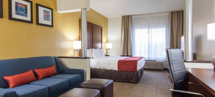 舒适套房酒店-中心/44号州际公路(Comfort Suites Central-I-44)图片