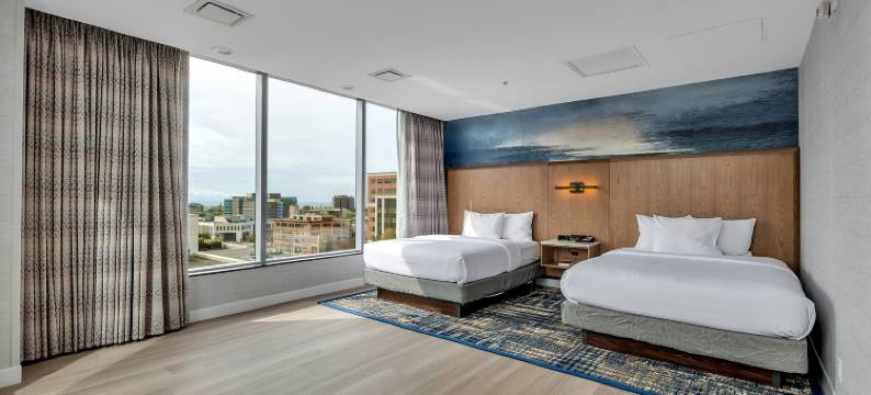 布法罗希尔顿安泊酒店(Embassy Suites by Hilton Buffalo)图片