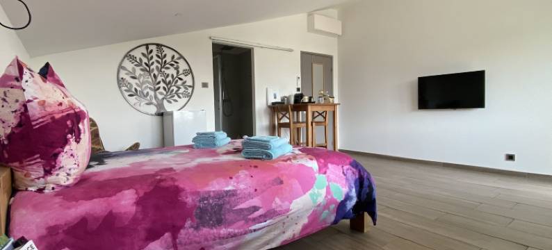 勒克洛斯德斯波米耶(Le Clos des Pommiers)图片