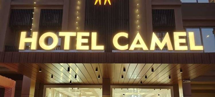 CLAY管理的骆驼酒店(Hotel Camel managed by CLAY)图片