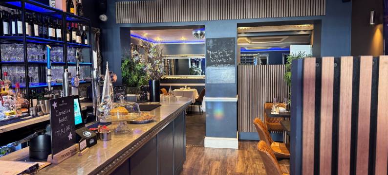 卡梅利娅酒店(Camelia Hotel)图片