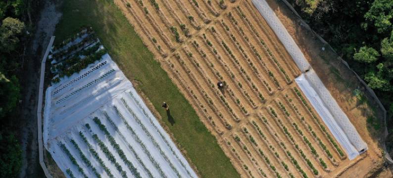 The Atta露台俱乐部塔楼酒店-限成人(The Atta Terrace Club Towers)图片