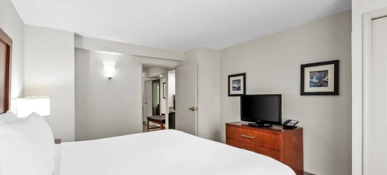 舒适套房酒店-近涅尔波托马克米尔斯(Comfort Suites Near Potomac Mills)图片