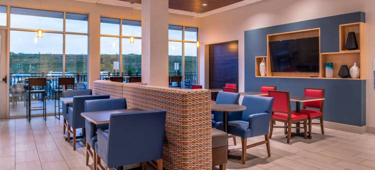 法姆维尔洲际智选假日套房酒店(Holiday Inn Express & Suites FARMVILLE by IHG)图片