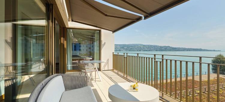 亚历克斯湖苏黎世 - 生活方式酒店和套房(Alex Lake Zürich - Lifestyle Hotel and Suites)图片