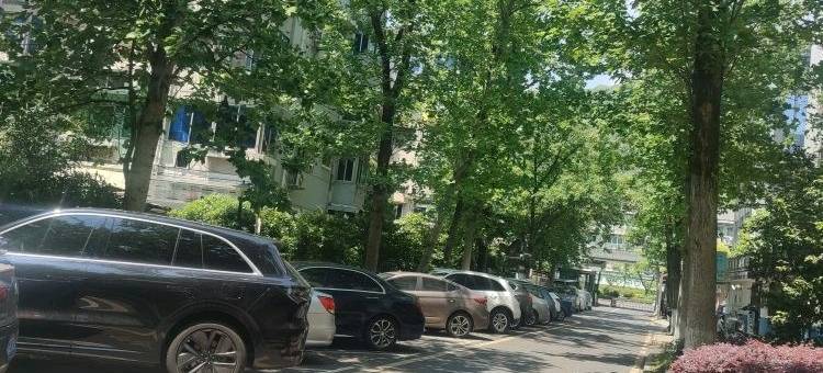 陨宝馆特色民宿(临丁路分店)图片