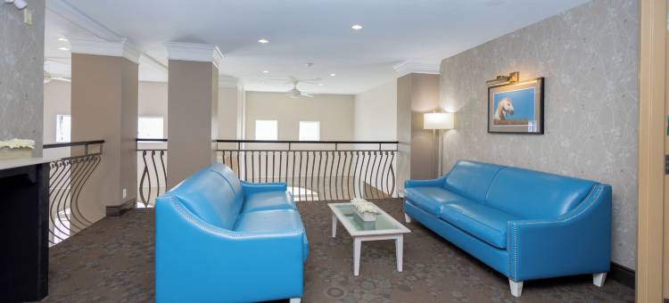 布兰顿温德姆戴斯套房酒店(Days Inn & Suites by Wyndham Brandon)图片