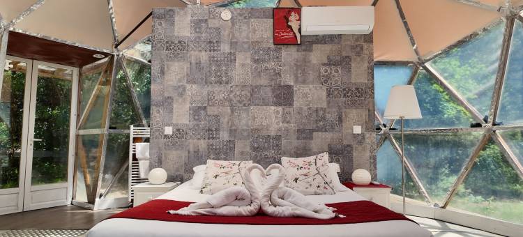 SAS 拉芳特葡萄酒酒店(Hotel la Font Vineuse & Spa)图片