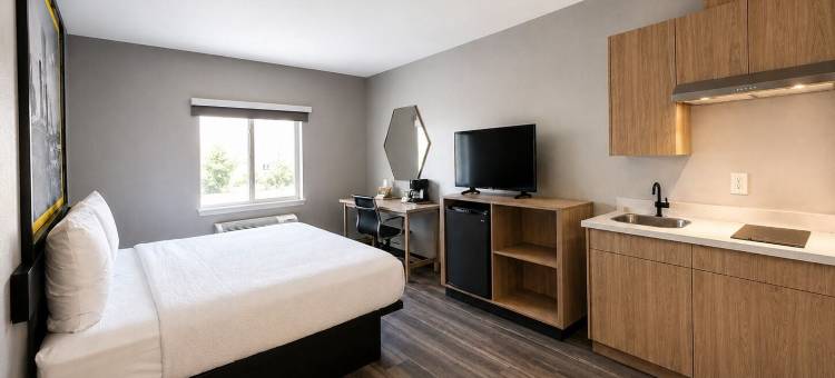 布伦汉姆速8酒店(Super 8 by Wyndham Brenham TX)图片