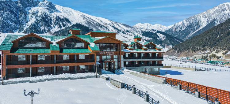 福朋喜来登索纳马尔格度假村(Four Points by Sheraton Sonmarg Resort)图片