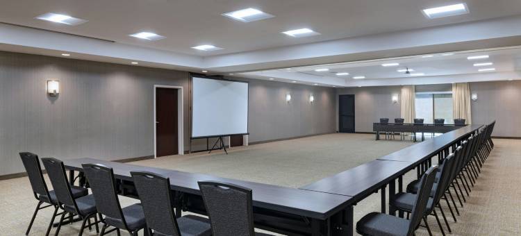 欧文达拉斯DFW国际机场东/拉斯科利纳斯SpringHill Suites酒店(SpringHill Suites Dallas DFW Airport East/Las Colinas Irving)图片