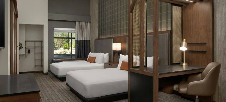 斯廷博特斯普林斯SpringHill Suites酒店(SpringHill Suites by Marriott Steamboat Springs)图片