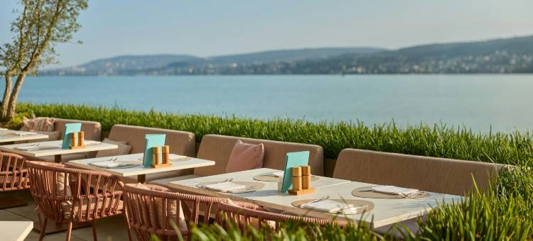 亚历克斯湖苏黎世 - 生活方式酒店和套房(Alex Lake Zürich - Lifestyle Hotel and Suites)图片
