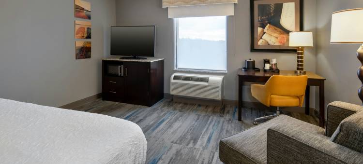 希尔顿欢朋酒店-塞内卡瀑布(Hampton Inn Seneca Falls)图片