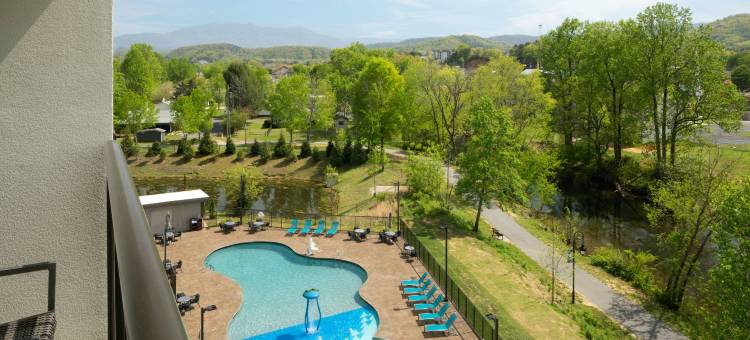 鸽子谷TownePlace Suites酒店(TownePlace Suites Pigeon Forge)图片