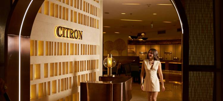 开罗幻影市万丽酒店(Renaissance Cairo Mirage City Hotel)图片
