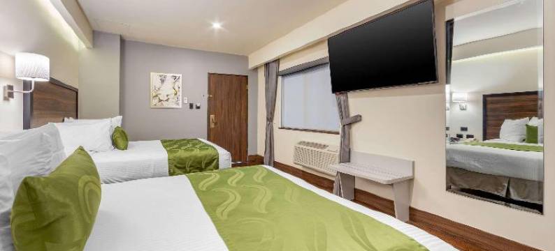 凯艺酒店-三藩市奇瓦瓦(Quality Inn Chihuahua San Francisco)图片