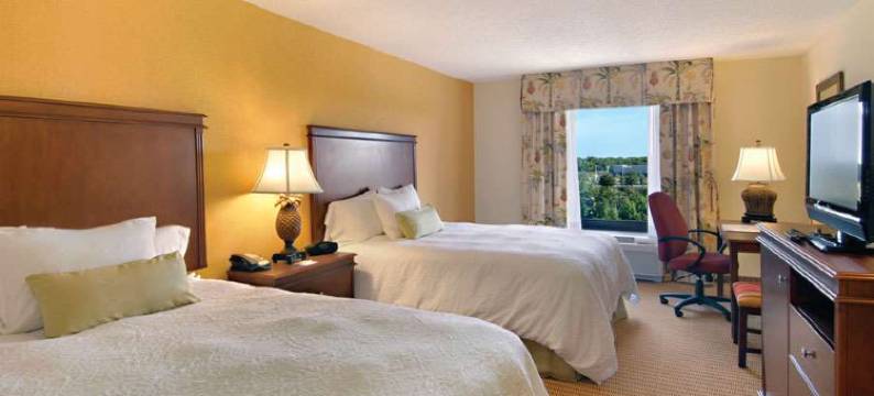 坦帕韦斯利查普尔欢朋套房酒店(Hampton Inn & Suites Tampa-Wesley Chapel)图片