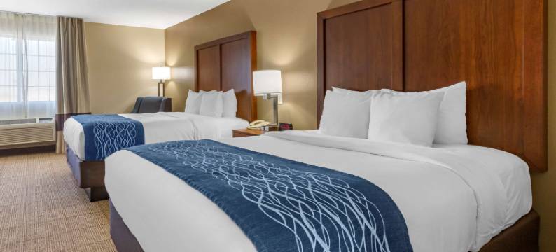 洛兹堡 I-10 舒适套房酒店(Comfort Inn & Suites Lordsburg I-10)图片