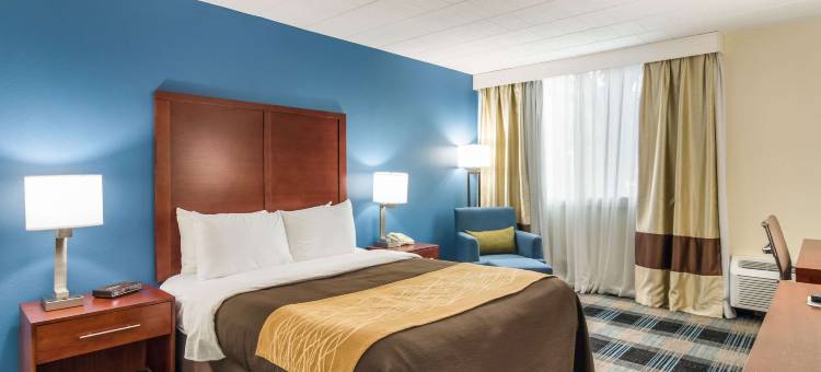 舒适酒店及套房(Comfort Inn & Suites)图片